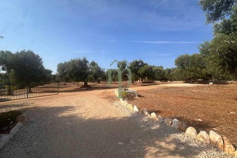 Villa i Carovigno, Brindisi, Carovigno - € 340.000 | Ref: Villa Casellini - foto 4